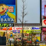 Paysage japonais
