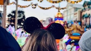 Visite du parc de disney